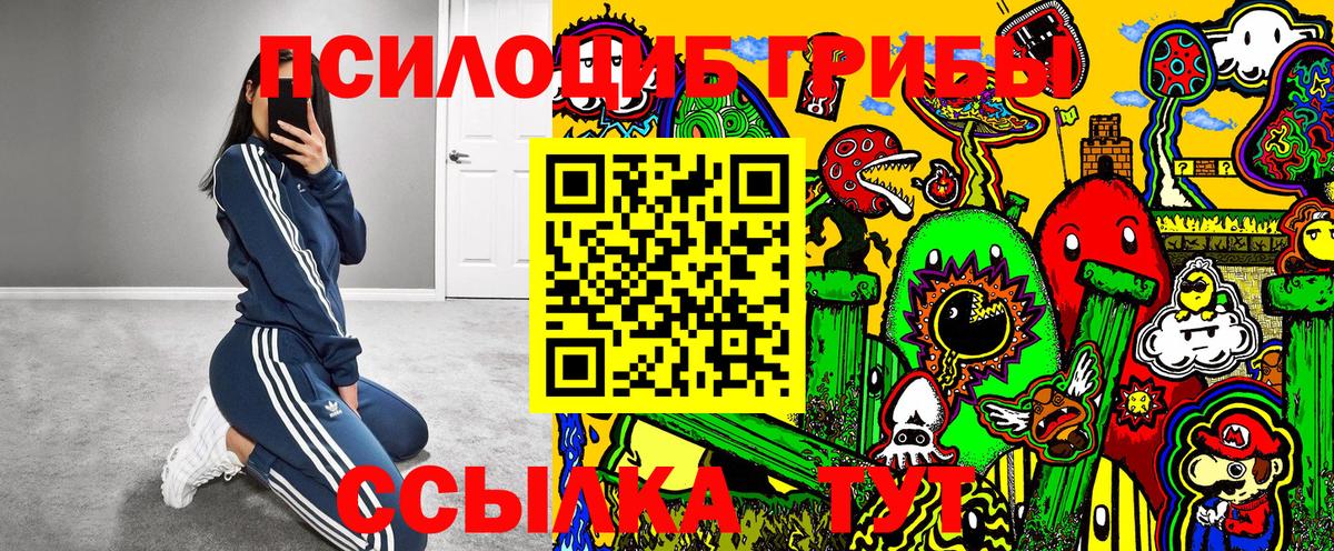 Щёлково  Галлюциногенные грибы мицелий  Вход с VPN 