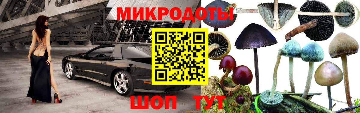 Галлюциногенные грибы GOLDEN TEACHER Щёлково